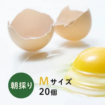 下川六〇酵素卵 Mサイズ 20個