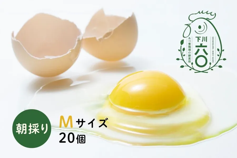 下川六〇酵素卵 Mサイズ 20個