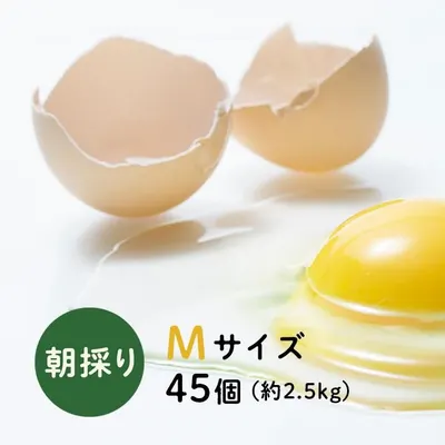 下川六〇酵素卵 Mサイズ 45個（約2.5kg）