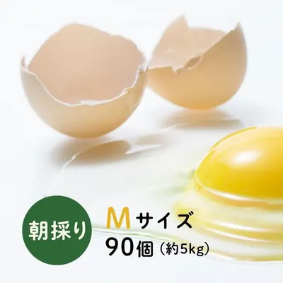 下川六〇酵素卵 Mサイズ 90個（約5kg）